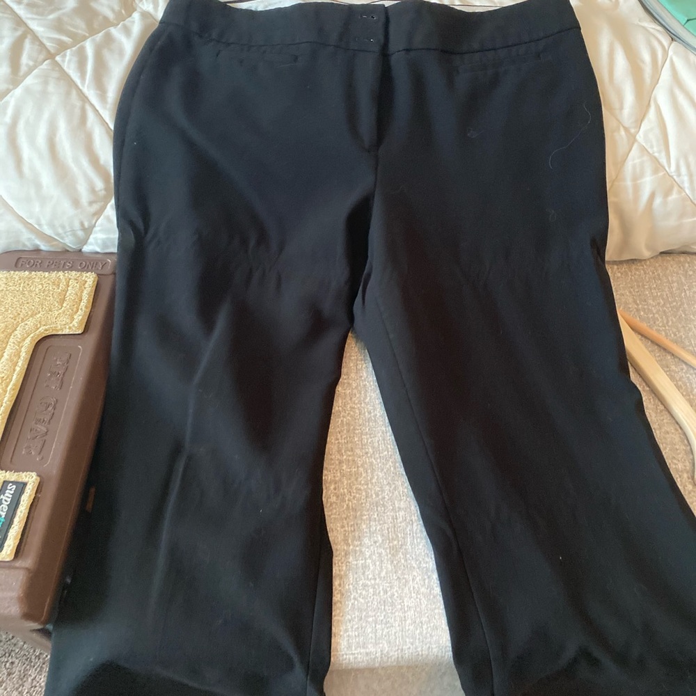 Dress pants